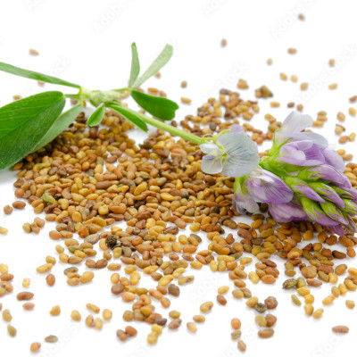 Lucerne Seeds (Teen Saali)