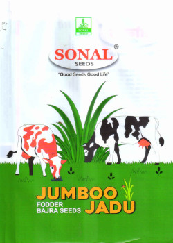 Sonal Jumboo Fodder Multicut Bajra Seeds Sonal Jumboo Fodder Multicut Bajra Seeds