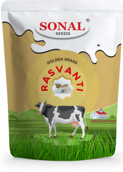 Sonal Rasvanti Golden Grass Seeds
