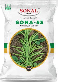 Sonal Sona-53 Research Guwar Seeds