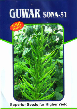 Sonal Sona-51 Research Guwar Seeds ( Small Packing )
