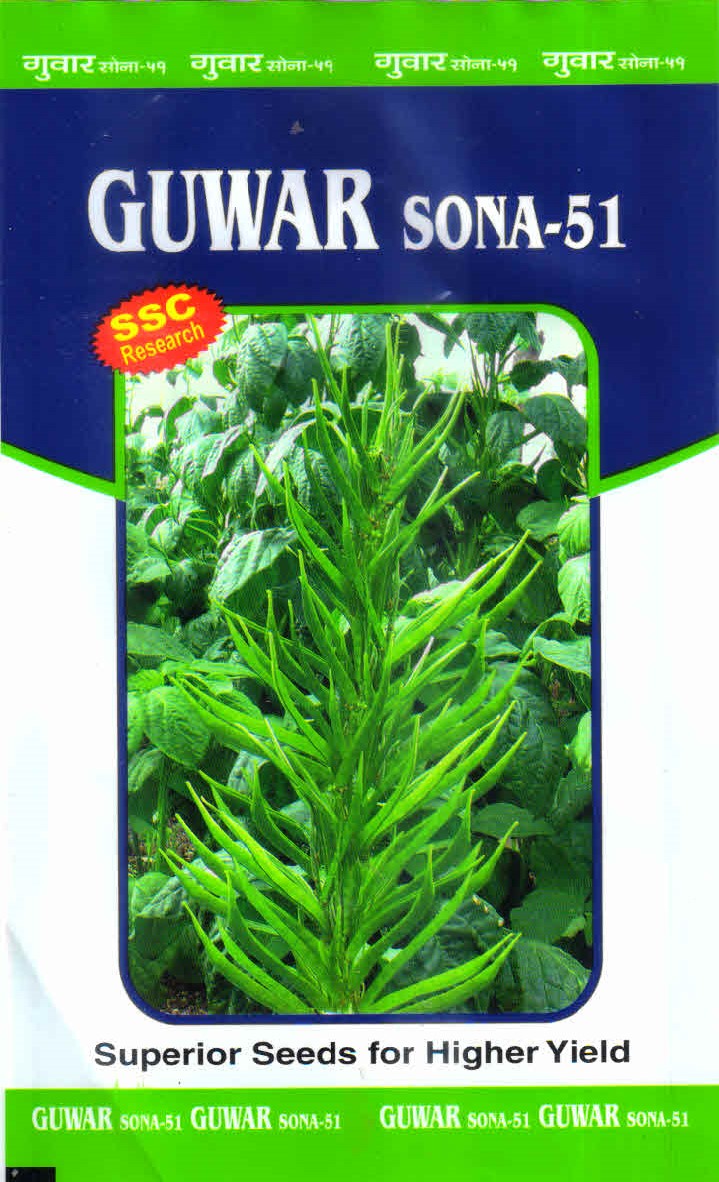Sonal Sona-51 Research Guwar Seeds ( Small Packing ) Sonal Sona-51 Research Guwar Seeds ( Small Packing )