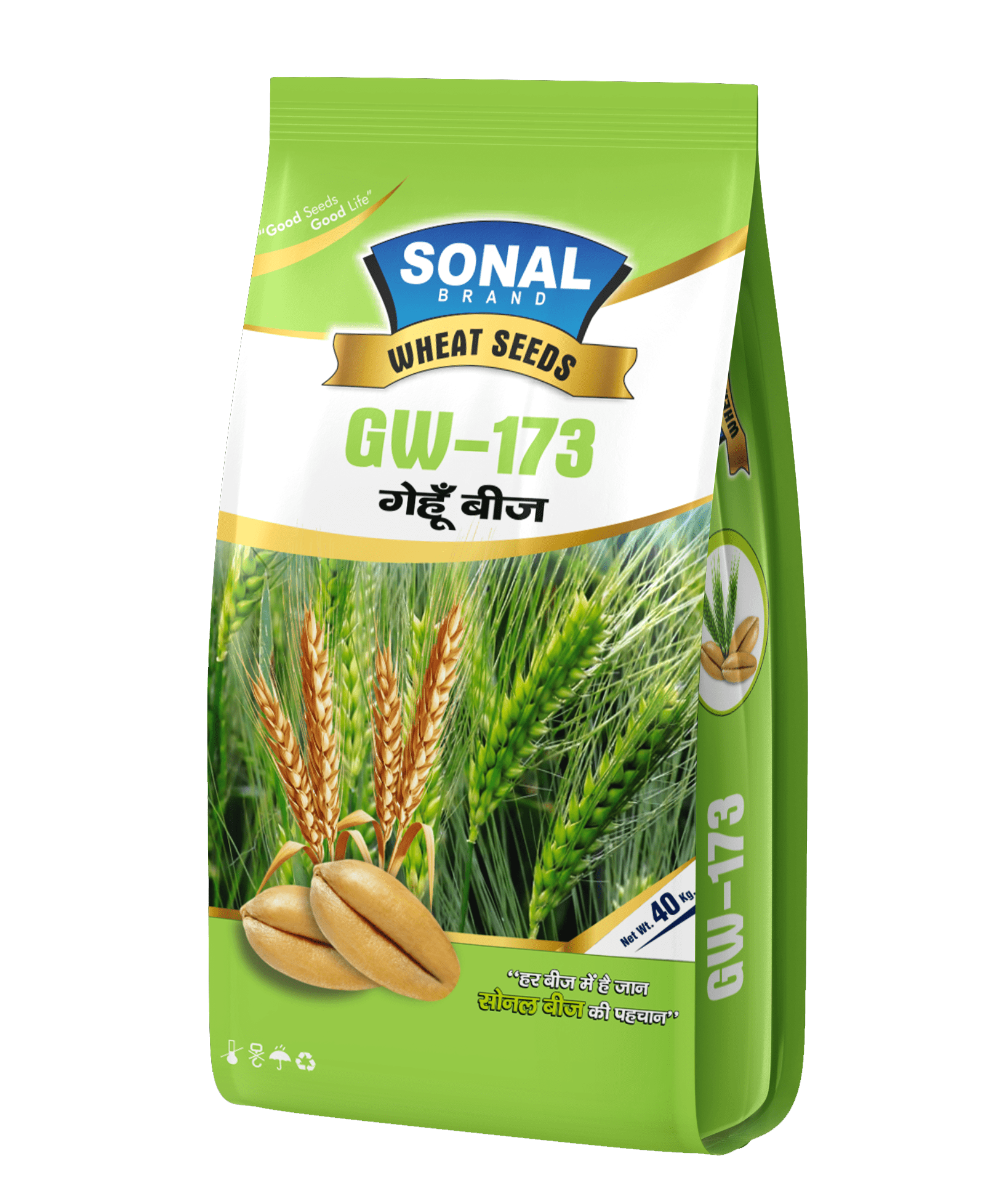 Sonal GW-173 Certified Wheat Seeds
