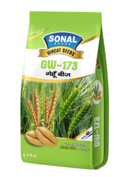 Sonal GW-173 Certified Wheat Seeds Sonal GW-173 Certified Wheat Seeds