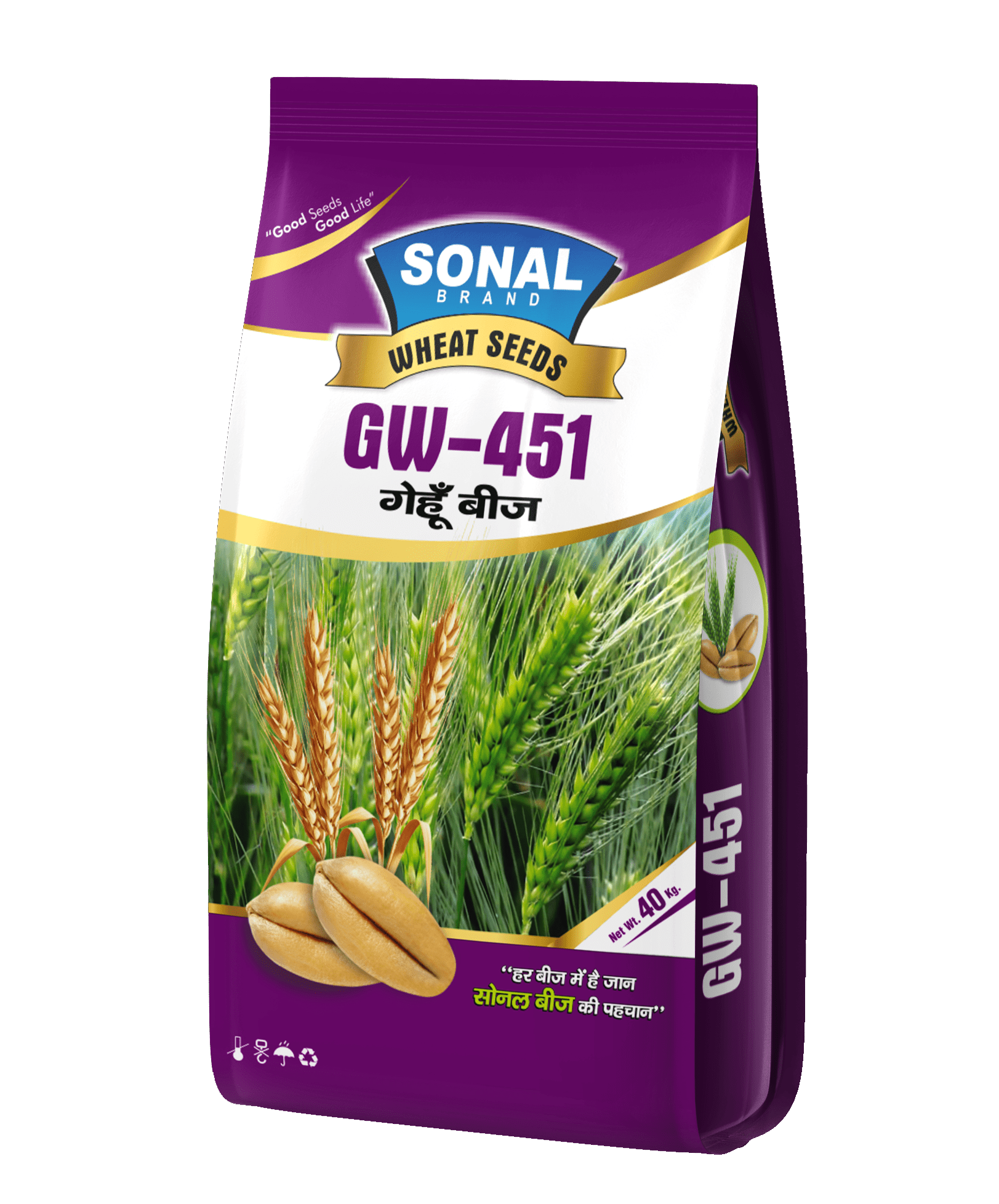 Sonal GW-451 Certified Wheat Seeds