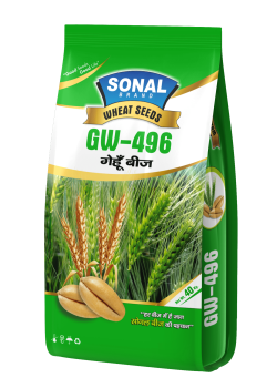 Sonal GW-496 Certified Wheat Seeds Sonal GW-496 Certified Wheat Seeds