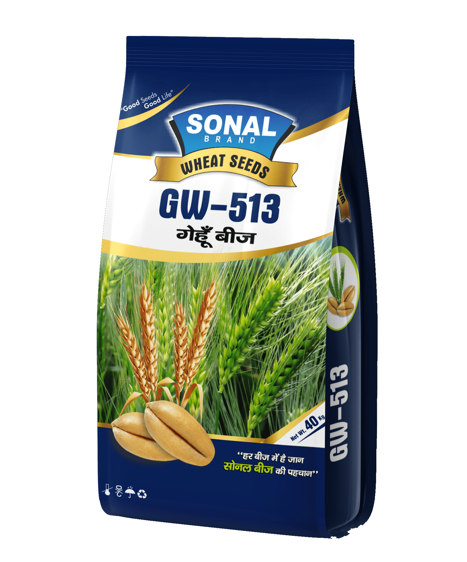 Sonal GW-513 Certified Wheat Seeds