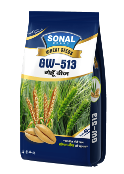 Sonal GW-513 Certified Wheat Seeds Sonal GW-513 Certified Wheat Seeds