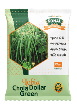 Sonal Chola Dollar Green Lobia Seeds Sonal Chola Dollar Green Lobia Seeds