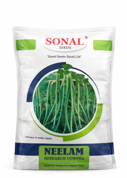 Sonal Neelam Lobia Seeds
