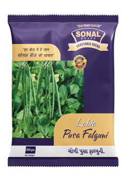Sonal Pusa Falguni Lobia Seeds Sonal Pusa Falguni Lobia Seeds