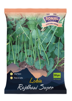 Sonal Rajdhani Super Lobia Seeds Sonal Rajdhani Super Lobia Seeds