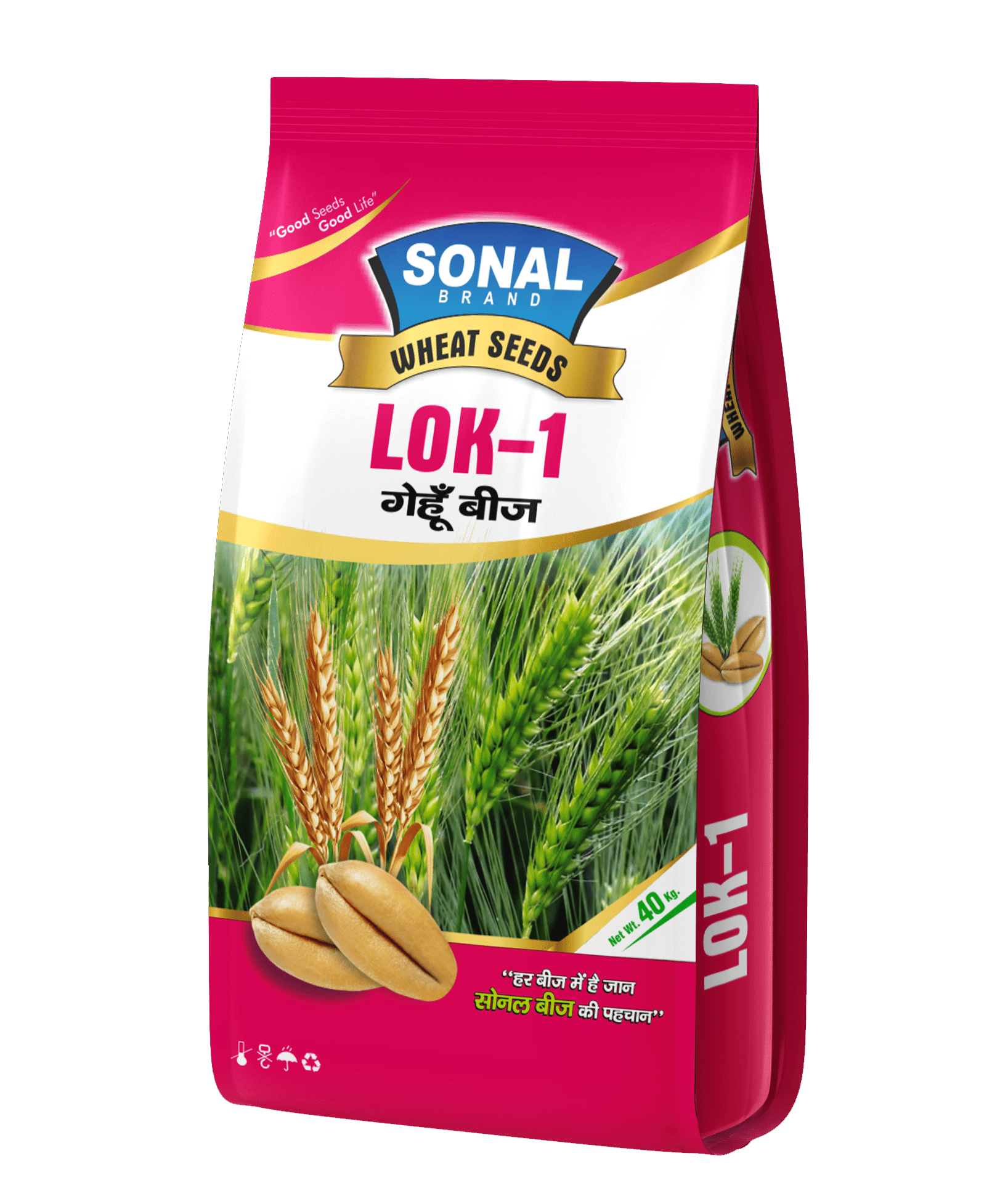 Sonal LOK-1 Certified Wheat Seeds