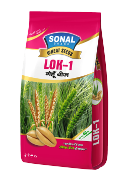 Sonal LOK-1 Certified Wheat Seeds Sonal LOK-1 Certified Wheat Seeds