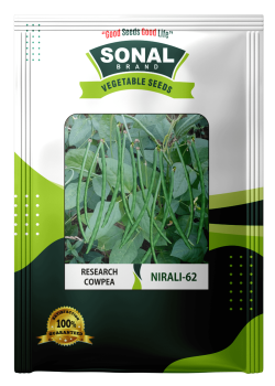Sonal Nirali 62 Research Cowpea Seeds Sonal Nirali 62 Research Cowpea Seeds