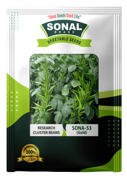 Sonal Sona 53 Gold Research Cluster Beans Sonal Sona 53 Gold Research Cluster Beans