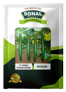 Sonal Muskan F1 Hybrid Sponge Gourd Seeds Sonal Muskan F1 Hybrid Sponge Gourd Seeds