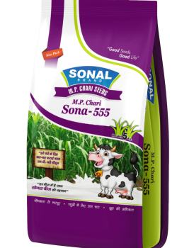 Sonal M P Chari Sona-555 Fodder Seeds Sonal M P Chari Sona-555 Fodder Seeds