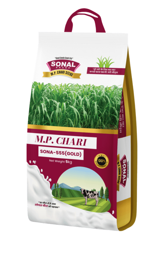 Sonal M P Chari Sona-555 Gold Fodder Seeds