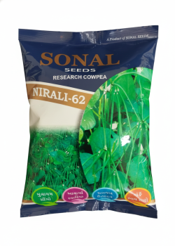 Sonal Nirali 62 Research Lobia Seeds