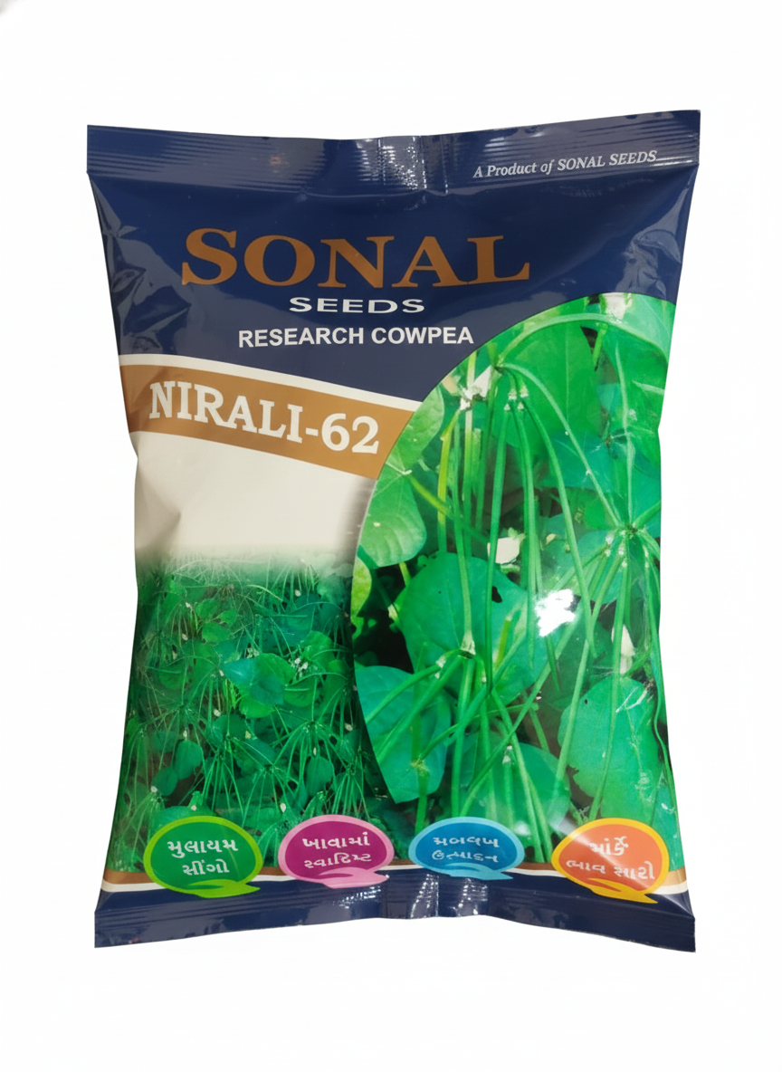 Sonal Nirali 62 Research Lobia Seeds