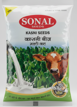 Sonal Kasni Grass Seeds Multicut