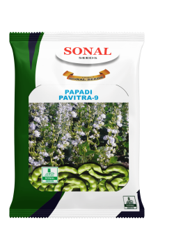 Sonal Pavitra 9 Chhod Papadi Seeds Sonal Pavitra 9 Chhod Papadi Seeds