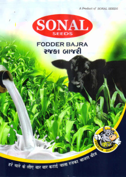 Sonal Fodder Multicut Bajra Seeds Sonal Fodder Multicut Bajra Seeds