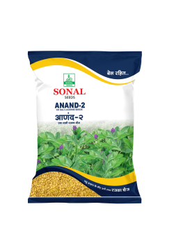 Sonal Anand-2 Ek Saali Lucern Seeds Sonal Anand-2 Ek Saali Lucern Seeds