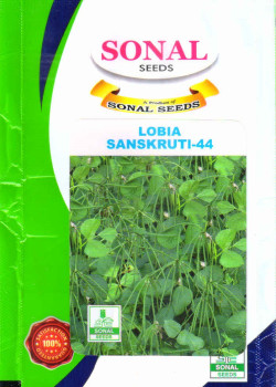 Sonal Sanskruti-44 Lobia Seeds Sonal Sanskruti-44 Lobia Seeds