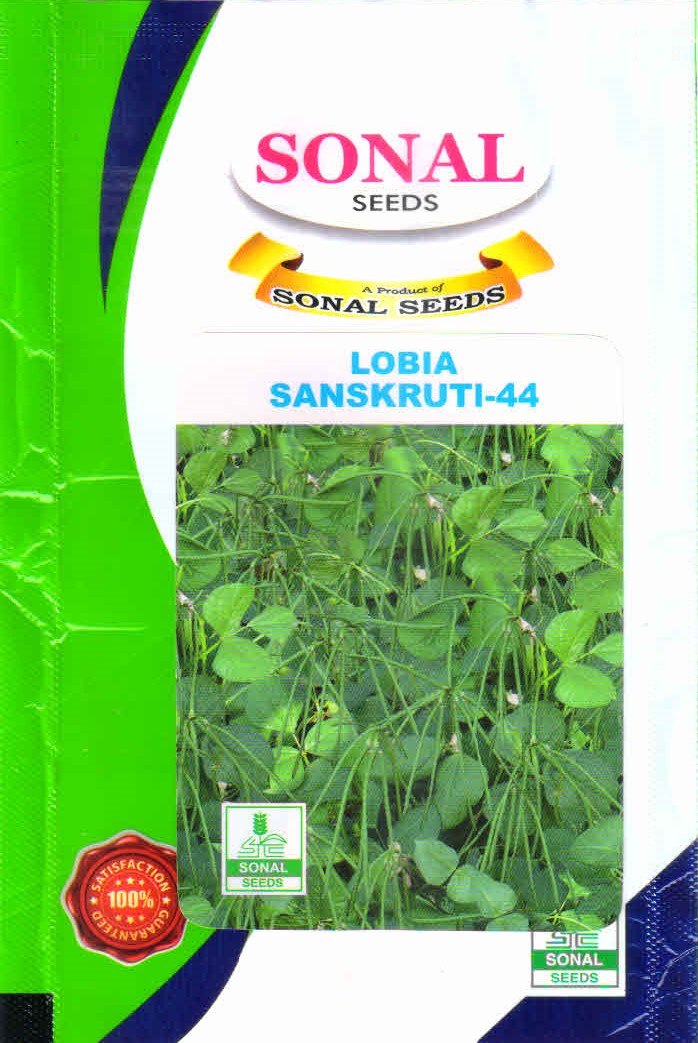 Sonal Sanskruti-44 Lobia Seeds Sonal Sanskruti-44 Lobia Seeds