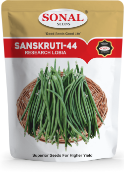 Sonal Sanskruti-44 Lobia Seeds 500gm Sonal Sanskruti-44 Lobia Seeds 500gm