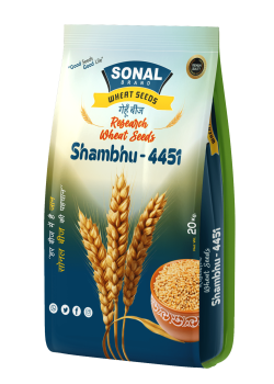 Sonal Shambhu-4451 Research Wheat Seeds Sonal Shambhu-4451 Research Wheat Seeds