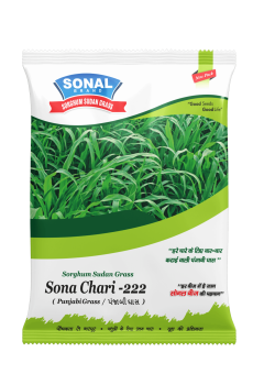 Sonal S S G Sona Chari 222 Punjabi Grass Fodder Seeds