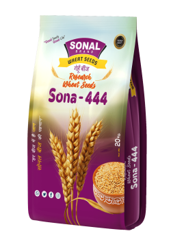 Sonal Sona-444 Research Wheat Seeds Sonal Sona-444 Research Wheat Seeds