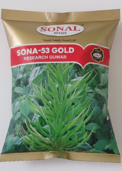 Sonal Sona-53 Gold Research Guwar Seeds