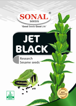 Sonal Seeds Jet Black Research Sesame Til Seeds
