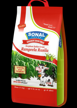 Sonal SSG Rangeela Rasila Fodder Seeds Sonal SSG Rangeela Rasila Fodder Seeds