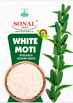 Sonal White Moti Research Sesame Til Seeds