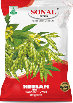 Sonal Neelam Research Tuwar Seeds Sonal Neelam Research Tuwar Seeds