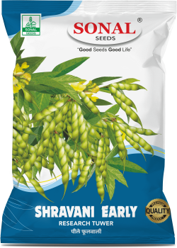Sonal Shravani Early Research Tuwar Seeds Sonal Shravani Early Research Tuwar Seeds