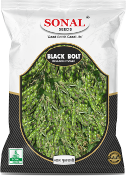 Sonal Black Bolt Research Tuwar Seeds Sonal Black Bolt Research Tuwar Seeds