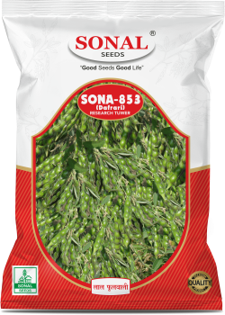Sonal Sona 853 Research Tuwar Seeds Sonal Sona 853 Research Tuwar Seeds
