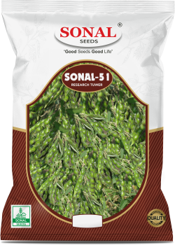 Sonal Sonal-51 Research Tuwar Seeds Sonal Sonal-51 Research Tuwar Seeds