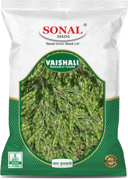 Sonal Vaishali Research Tuwar Seeds Sonal Vaishali Research Tuwar Seeds