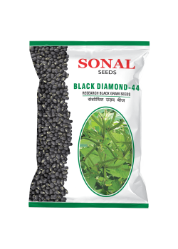 Sonal Black Diamond-44 Research Black Gram Seeds Sonal Black Diamond-44 Research Black Gram Seeds