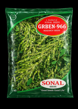 sonal tuwar 966 seeds sonal tuwar 966 seeds