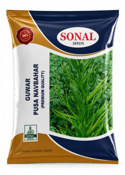 Sonal Pusa Navbahar  Research Guwar Seeds