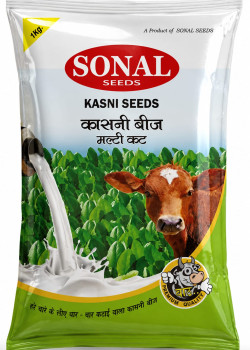 KASNI SEEDS  MULTI CUT (PANDADIYU)
