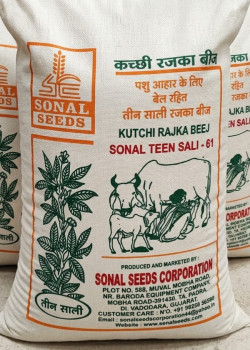 KUTCHI RAJKA BEEJ SONAL TEEN SALI-61 KUTCHI RAJKA BEEJ SONAL TEEN SALI-61